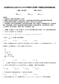 山东省枣庄市台儿庄区2022-2023学年数学七年级第二学期期末达标检测模拟试题含答案