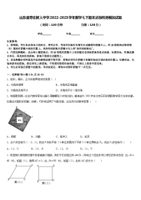 山东省枣庄树人中学2022-2023学年数学七下期末达标检测模拟试题含答案