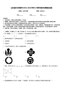 山东省沂水县联考2022-2023学年七下数学期末经典模拟试题含答案