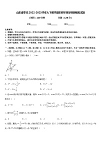 山东省枣庄2022-2023学年七下数学期末教学质量检测模拟试题含答案