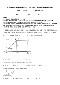 山东省泰安市新城实验中学2022-2023学年七下数学期末达标测试试题含答案