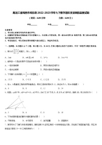 黑龙江省鸡西市鸡东县2022-2023学年七下数学期末质量跟踪监视试题含答案