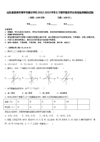 山东省滨州市邹平市部分学校2022-2023学年七下数学期末学业质量监测模拟试题含答案