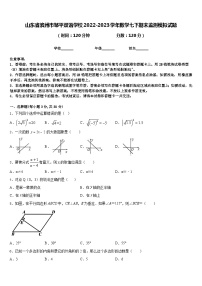 山东省滨州市邹平双语学校2022-2023学年数学七下期末监测模拟试题含答案