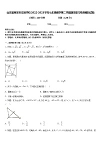 山东省莱芜市实验学校2022-2023学年七年级数学第二学期期末复习检测模拟试题含答案