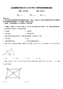 山东省聊城市莘县2022-2023学年七下数学期末调研模拟试题含答案