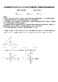 山东省聊城市文轩中学2022-2023学年七年级数学第二学期期末达标检测模拟试题含答案