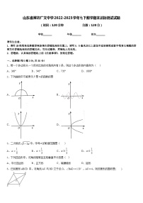 山东省潍坊广文中学2022-2023学年七下数学期末达标测试试题含答案