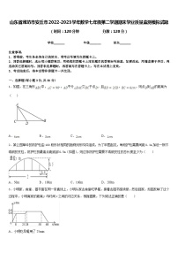 山东省潍坊市安丘市2022-2023学年数学七年级第二学期期末学业质量监测模拟试题含答案