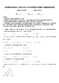 山东省潍坊市寿光市、安丘市2022-2023学年数学七年级第二学期期末统考试题含答案