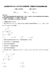 山东省重点中学2022-2023学年七年级数学第二学期期末学业质量监测模拟试题含答案