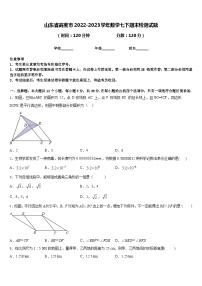 山东省高密市2022-2023学年数学七下期末检测试题含答案