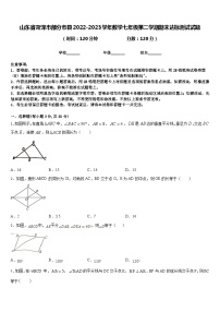 山东省菏泽市部分市县2022-2023学年数学七年级第二学期期末达标测试试题含答案