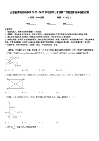 山东省青岛实验中学2022-2023学年数学七年级第二学期期末统考模拟试题含答案