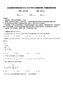 山东省青岛市青岛实验2022-2023学年七年级数学第二学期期末联考试题含答案