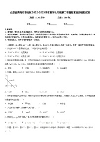 山东省青岛市市南区2022-2023学年数学七年级第二学期期末监测模拟试题含答案