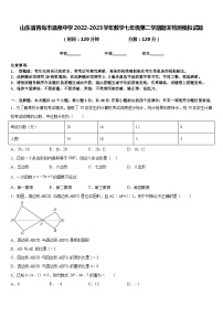 山东省青岛市温泉中学2022-2023学年数学七年级第二学期期末检测模拟试题含答案