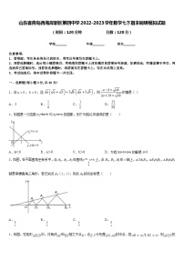 山东省青岛西海岸新区第四中学2022-2023学年数学七下期末调研模拟试题含答案