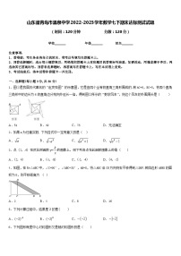 山东省青岛市温泉中学2022-2023学年数学七下期末达标测试试题含答案