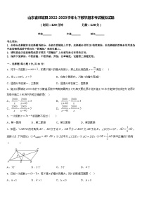 山东省郯城县2022-2023学年七下数学期末考试模拟试题含答案