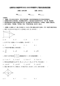 山西农业大附属中学2022-2023学年数学七下期末达标测试试题含答案