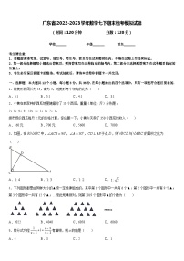 广东省2022-2023学年数学七下期末统考模拟试题含答案