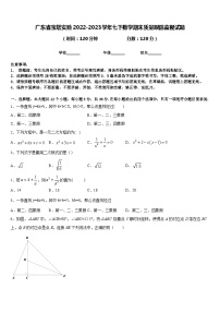 广东省宝塔实验2022-2023学年七下数学期末质量跟踪监视试题含答案