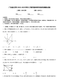 广东省云浮市2022-2023学年七下数学期末教学质量检测模拟试题含答案