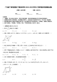 广东省广州市荔湾区广雅实验学校2022-2023学年七下数学期末检测模拟试题含答案