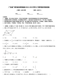 广东省广州市省实教育集团2022-2023学年七下数学期末预测试题含答案