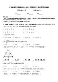 广东省惠州市博罗县2022-2023学年数学七下期末综合测试试题含答案