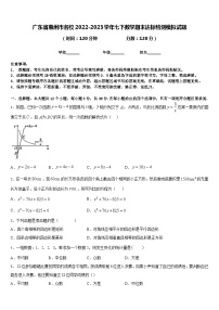 广东省惠州市名校2022-2023学年七下数学期末达标检测模拟试题含答案