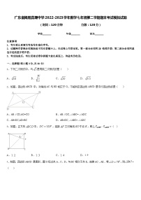 广东省揭阳真理中学2022-2023学年数学七年级第二学期期末考试模拟试题含答案