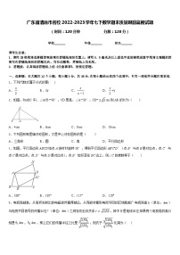 广东省清远市名校2022-2023学年七下数学期末质量跟踪监视试题含答案