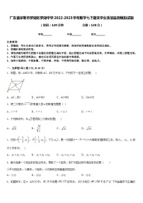 广东省深圳市罗湖区罗湖中学2022-2023学年数学七下期末学业质量监测模拟试题含答案