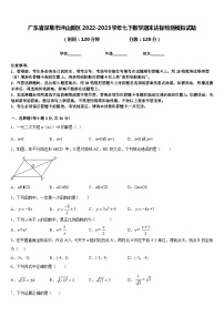 广东省深圳市坪山新区2022-2023学年七下数学期末达标检测模拟试题含答案