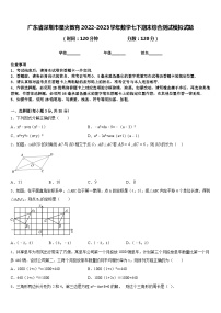 广东省深圳市星火教育2022-2023学年数学七下期末综合测试模拟试题含答案