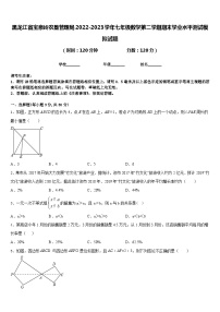 黑龙江省宝泉岭农垦管理局2022-2023学年七年级数学第二学期期末学业水平测试模拟试题含答案