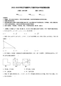 2022-2023学年辽宁省数学七下期末学业水平测试模拟试题含答案