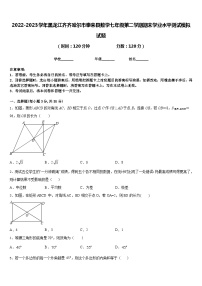 2022-2023学年黑龙江齐齐哈尔市泰来县数学七年级第二学期期末学业水平测试模拟试题含答案