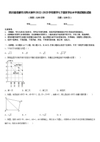 四川省成都市川师大附中2022-2023学年数学七下期末学业水平测试模拟试题含答案