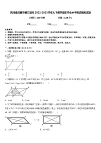 四川省成都市都江堰市2022-2023学年七下数学期末学业水平测试模拟试题含答案