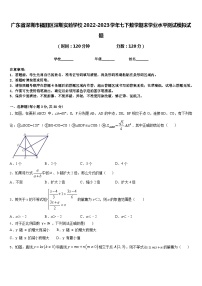 广东省深圳市福田区深圳实验学校2022-2023学年七下数学期末学业水平测试模拟试题含答案