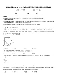 四川省雅安市2022-2023学年七年级数学第二学期期末学业水平测试试题含答案