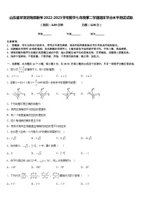 山东省菏泽定陶县联考2022-2023学年数学七年级第二学期期末学业水平测试试题含答案