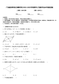 广东省东莞市东方明珠学校2022-2023学年数学七下期末学业水平测试试题含答案