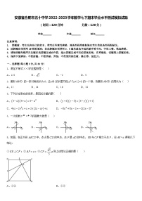 安徽省合肥市五十中学2022-2023学年数学七下期末学业水平测试模拟试题含答案