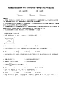 安徽省安庆宿松县联考2022-2023学年七下数学期末学业水平测试试题含答案