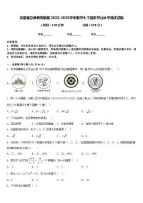 安徽省沿淮教育联盟2022-2023学年数学七下期末学业水平测试试题含答案