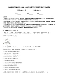 山东省潍坊市青州市2022-2023学年数学七下期末学业水平测试试题含答案